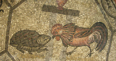 800px-Basilica_di_aquilieia,_museo_e_scavi_,_mosaici_aula_teodoriana_17_gallo_vs_tartaruga